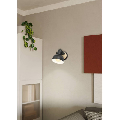 43164 Ambiente 43164 Ambiente