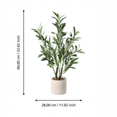 Plantas BINTULU Plantas BINTULU