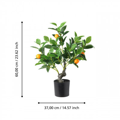 Plantas BINTULU Plantas BINTULU