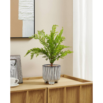 428486 Ambiente
