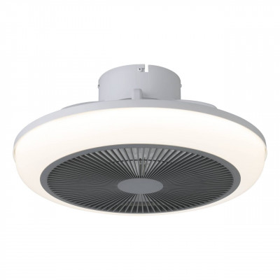 VENTILADOR SAYULITA 1