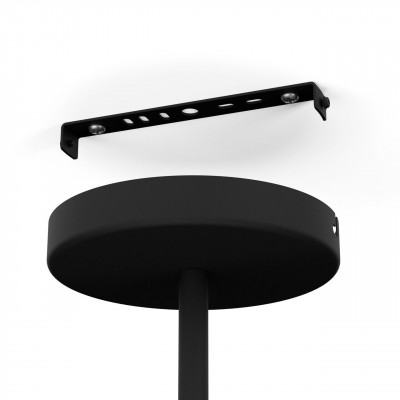 99591 Individual 99591 Individual